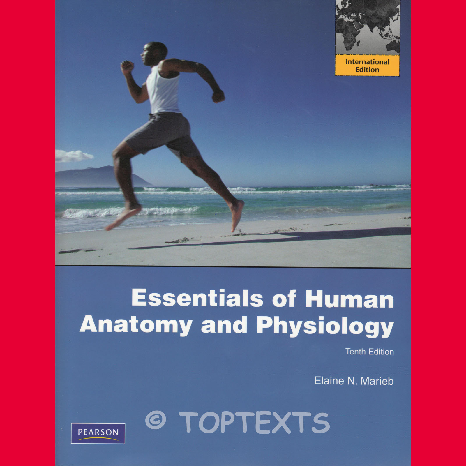 Anatomy And Physiology 4Th Edition By Elaine Marieb